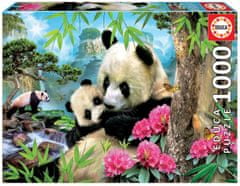 EDUCA Puzzle Panda s mláďaťom 1000 dielikov