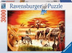 Ravensburger Puzzle Savana - hrdí Masajovia 3000 dielikov