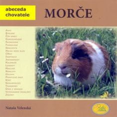 Nataša Velenská: Morče