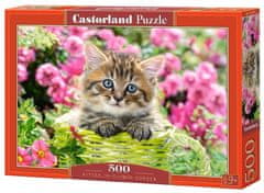 Castorland Puzzle Mačiatko v kvetinovej záhrade 500 dielikov