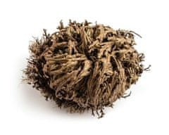 CoZy Kvet Jericha - Rose of Jericho