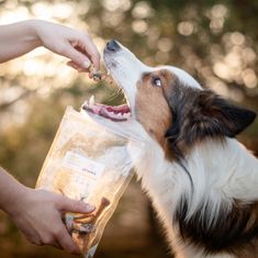 VETAMIX Sušené kuracie beháky 5 × 1 kg