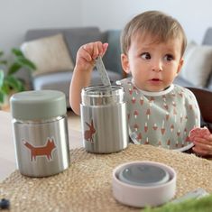 Lässig Food Jar Little Forest fox