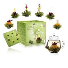 Koše Prima Sada kvitnúcich zelených čajov