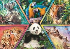 Trefl Puzzle Animal Planet: Kráľovstvo zvierat 1000 dielikov