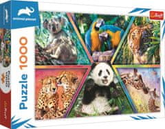 Trefl Puzzle Animal Planet: Kráľovstvo zvierat 1000 dielikov