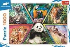 Trefl Puzzle Animal Planet: Kráľovstvo zvierat 1000 dielikov