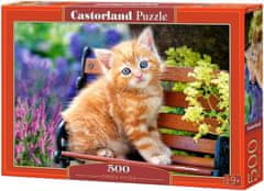 Castorland Puzzle Ryšavé mačiatko 500 dielikov