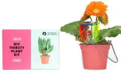 Thirsty Plant Kit Dual Language