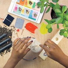 Thirsty Plant Kit Dual Language