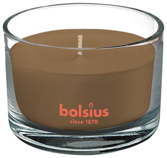 Bolsius Sviečka Bolsius Jar True Scents 63/90 mm, vonná, škorica/jablko, v skle