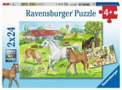 Ravensburger Puzzle V stajniach 2x24 dielikov