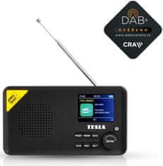 TESLA Sound DAB65