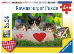 Ravensburger Puzzle Ospalé mačiatka 2x24 dielikov