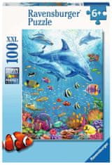 Ravensburger Puzzle Medzi delfínmi XXL 100 dielikov