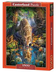 Castorland Puzzle Pijúci vlk 1500 dielikov