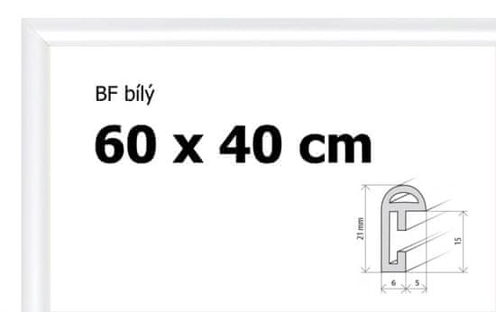 BFHM Plastový rám na puzzle 60x40cm - biely
