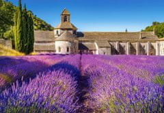 Castorland Puzzle Levanduľové pole v Provence, Francúzsko 1000 dielikov