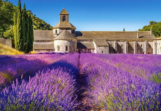 Castorland Puzzle Levanduľové pole v Provence, Francúzsko 1000 dielikov