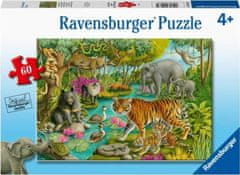 Ravensburger Puzzle Indický les 60 dielikov