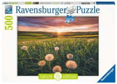 Ravensburger Puzzle Púpavy v západu slnka 500 dielikov