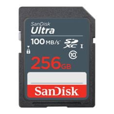 HAMA SanDisk Ultra 256 GB SDXC Memory Card 100 MB/s