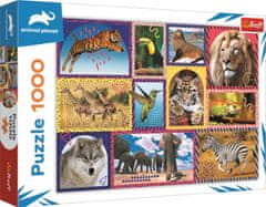 Trefl Puzzle Animal Planet: Divoká príroda 1000 dielikov