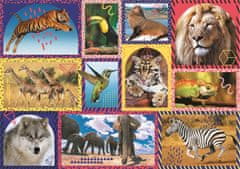 Trefl Puzzle Animal Planet: Divoká príroda 1000 dielikov