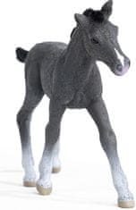 Schleich 13944 Trakénske žriebä