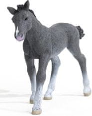 Schleich 13944 Trakénske žriebä