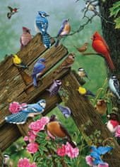 Cobble Hill Puzzle Lesné vtáky 1000 dielikov
