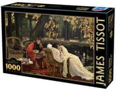 D-Toys Puzzle Zotavenie 1000 dielikov