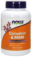 NOW Foods Celadrin a MSM 500 mg, 120 kapsúl