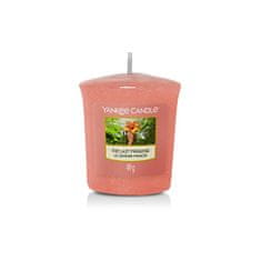 Yankee Candle Aromatická votívna sviečka The Last Paradise 49 g