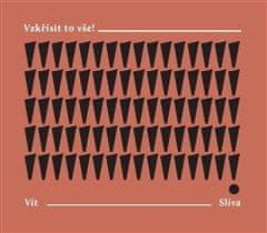 Vít Slíva: Vzkřísit to vše! Z deníku Dnění, 1977-2008