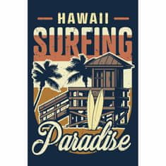 Retro Cedule Ceduľa Hawaii Surfing Paradise