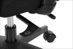 STEMA Otočná ergonomická kancelárska stolička RIVERTON M/L, nylonová základňa, synchrónny mechanizmus, nastaviteľné sedadlo, čierna/šedá