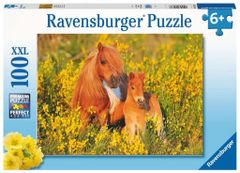 Ravensburger Puzzle Shetlandskí poníky XXL 100 dielikov