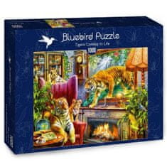 Blue Bird Puzzle Tigre ožívajú 1000 dielikov