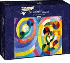 Blue Bird Puzzle Kruhové objekty 1000 dielikov