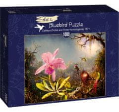 Blue Bird Puzzle Katleja a tri kolibríky 1000 dielikov