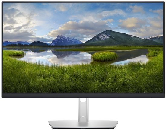 DELL P2422H Professional - LED monitor 23,8" (210-AZYX)