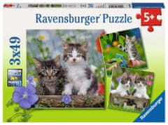 Ravensburger Puzzle Mačiatka 3x49 dielikov