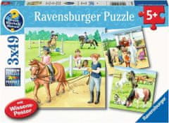 Ravensburger Puzzle Deň u koní 3x49 dielikov