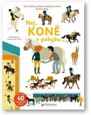 Sandra Laboucarie: Nej... Koně v pohybu - Jsem ručně vyrobená, zacházej se mnou prosím hezky.