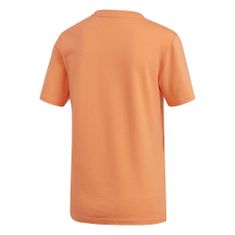 Adidas Tričko oranžová S Trefoil Tee