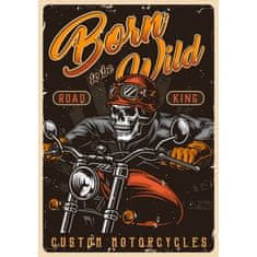 Retro Cedule Ceduľa Motorcycles - Born To be Wild