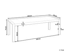 Beliani Jedálenský stôl 220 x 90 cm biela/strieborná ARCTIC I