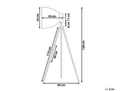 Beliani Kovová stojacia lampa čierna TAMEGA