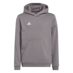 Adidas Mikina sivá 135 - 140 cm/S Entrada 22 Hoody